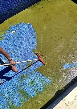 Havuz Açılışları