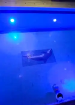 Kuşadasi Ali Bey Havuz LED Lamba  Yenileme Uygulaması