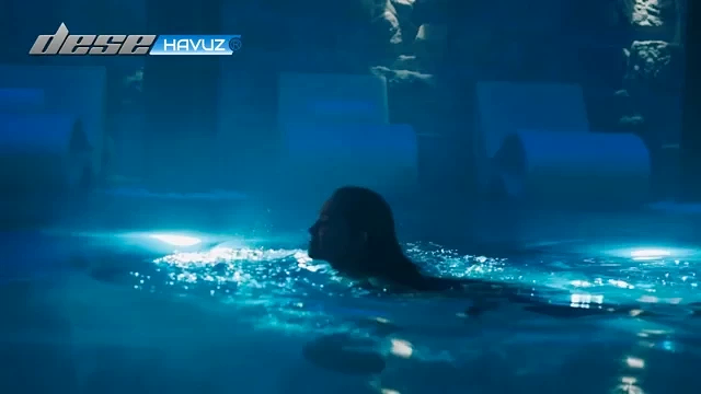 DESE SOLAR HAVUZ ISITMA