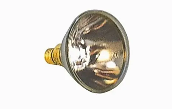 Philips Pars38 120W/24V Ampül