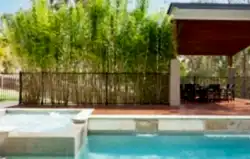 Havuz Yapımı Havuz Yapımı